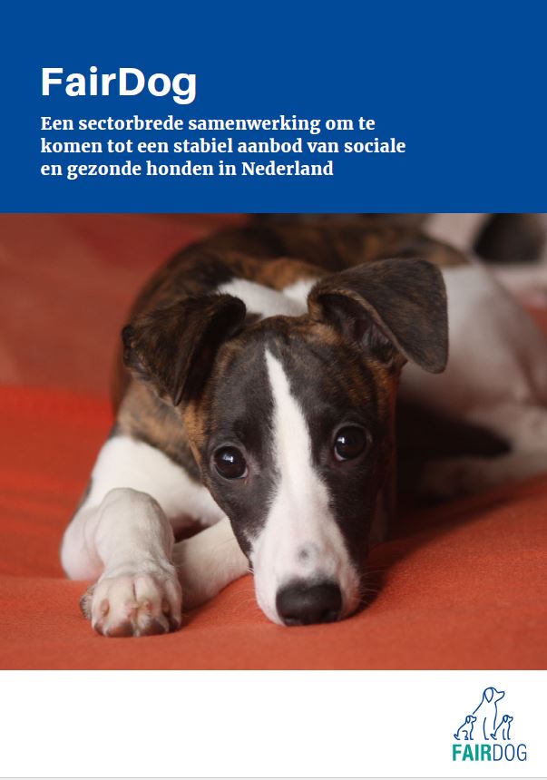 rapport fairdog 2020