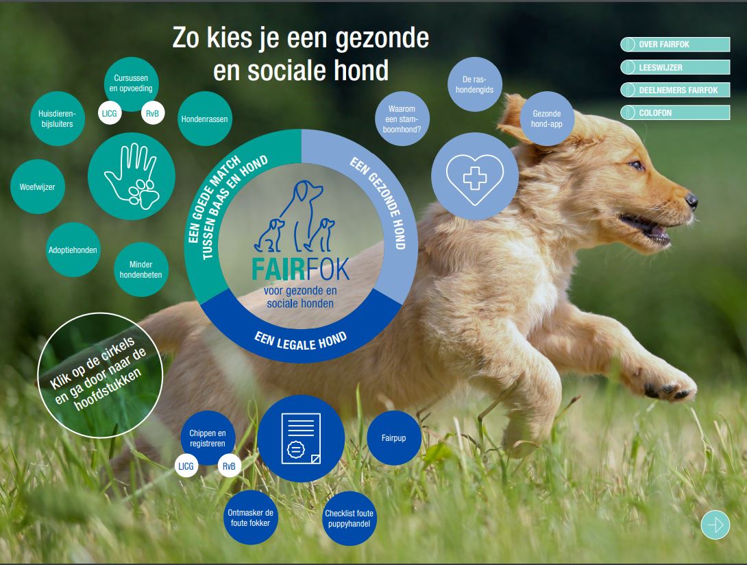 cover fairfok keuze sociale gezonde hond