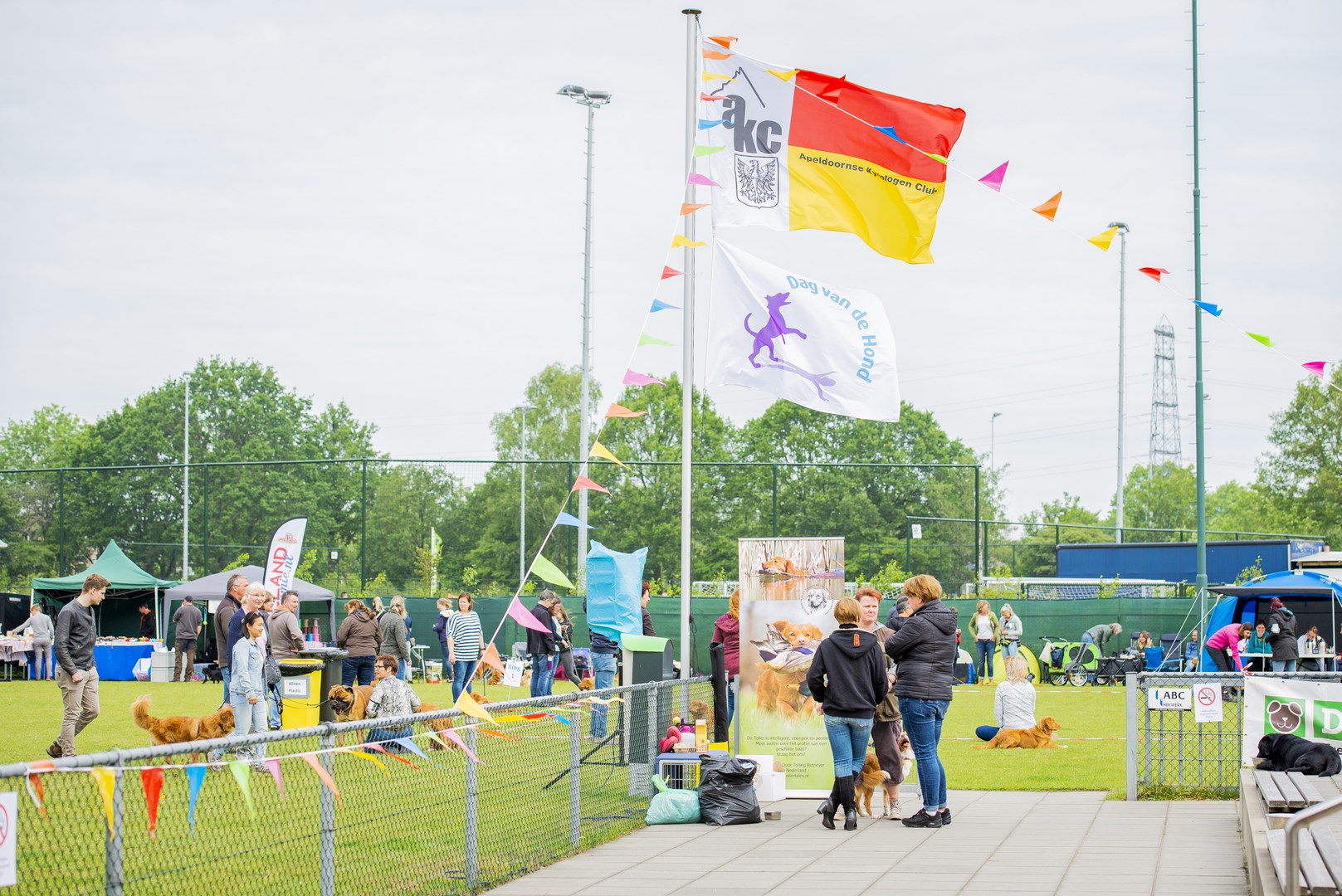 dag hond terrein