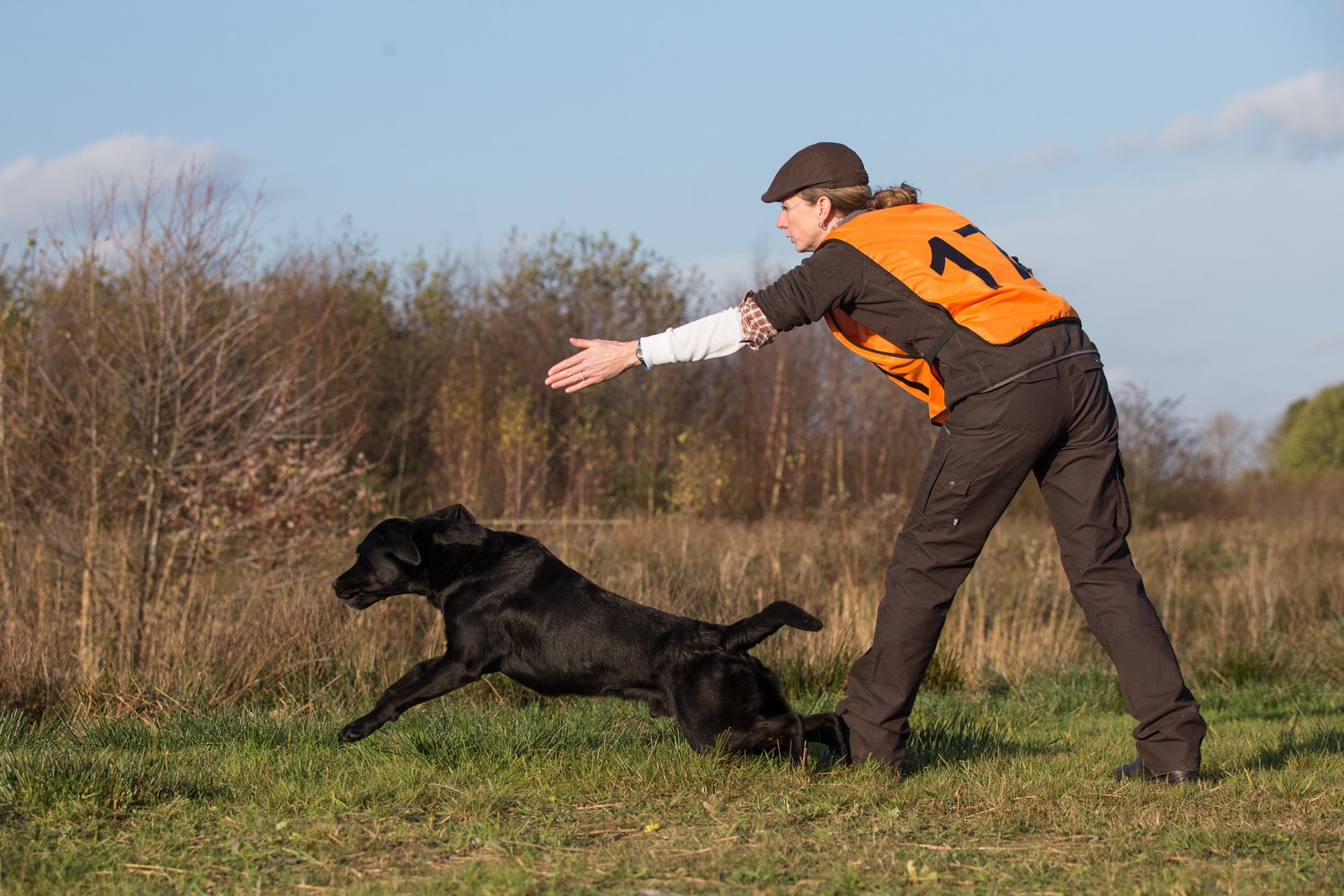 hond jachthond jachtwedstrijd