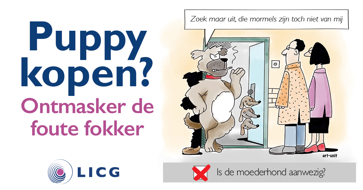 campagne ontmasker de foute fokker